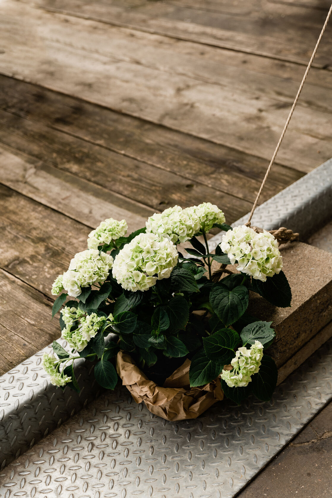 Fotograf Rocha Studio Osnabrück - Hochzeitsreportage Anne & Lars in der Stadtwaage Osnabrück und am Dock49